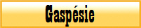 Gaspsie